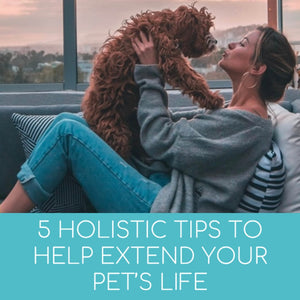 5 Holistic Tips to Help Extend Your Pet’s Life