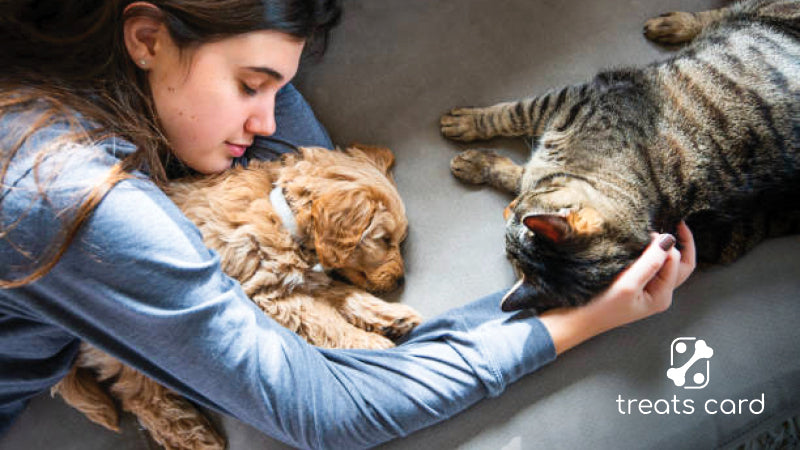 7 Things to Consider Before Getting a Pet