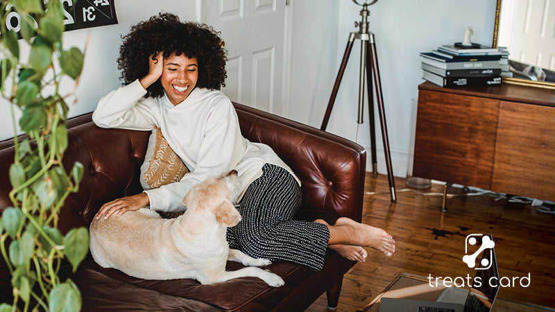 Pet boarding/pet sitting 