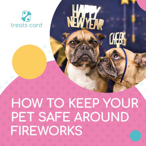 How to Keep Your Pet Safe Around Fireworks