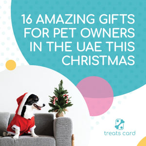 16 Amazing Gifts for Pet Owners in the UAE This Christmas
